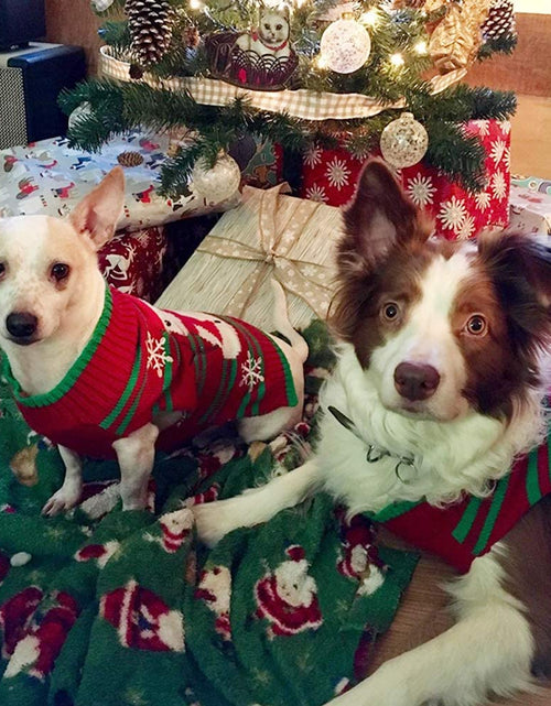 Load image into Gallery viewer, Dog Snow Sweaters Snowman Sweaters Xmas Dog Holiday Sweaters New Year Christmas Sweater Pet Clothes for Small Dog and Cat