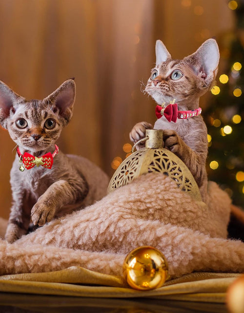Load image into Gallery viewer, 2Pack Halloween/Christmas Cat Collar with Bell Quick Release Safe Buckle Festival Breakaway Cat Collars with Bowtie Size Adjustable from 8" - 12"